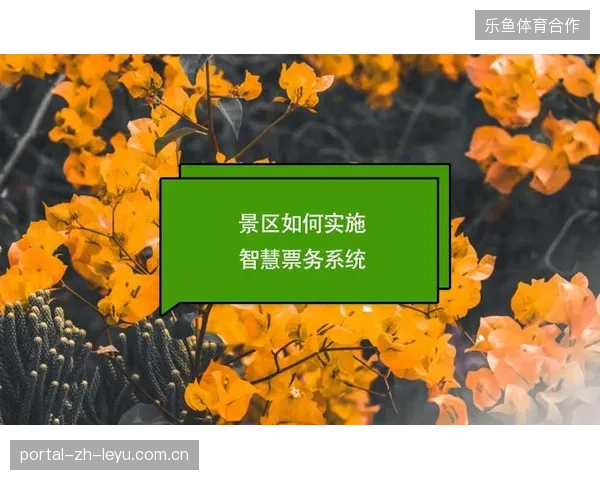 转播基础设施投入持续上涨，为何二级票务接口的管控效率始终处于滞后状态